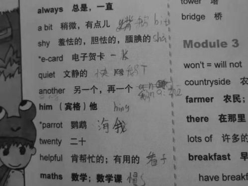 小学英语不学音标,小学生标汉语学单词,家长 又气又笑